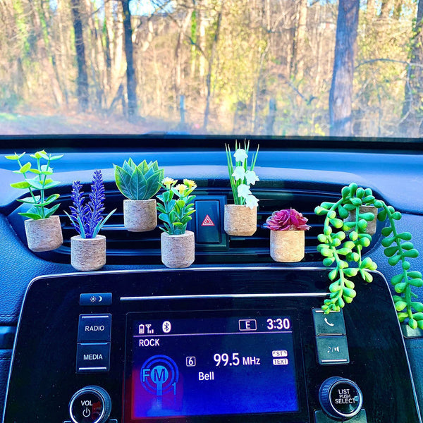 Car Fragrance Vent Accessory